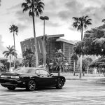 Wedding Limo Hire in Miami — What to Expect and What It Costs