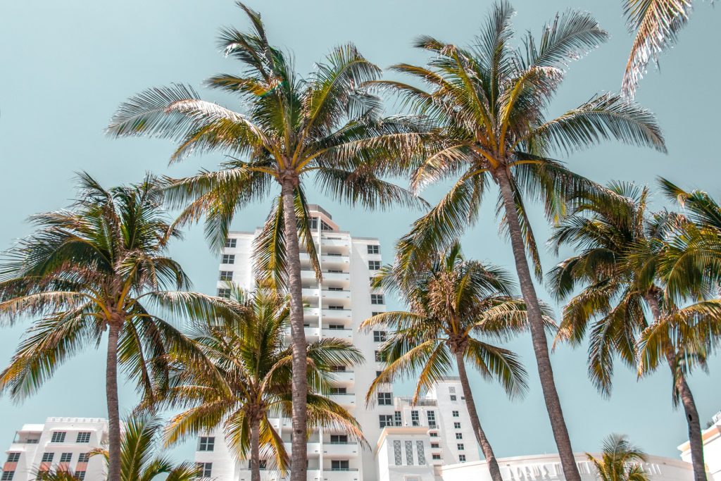 South Beach by Limousine: The Insider’s Guide to Exploring Miami’s Art Deco District in Style