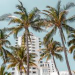 South Beach by Limousine: The Insider’s Guide to Exploring Miami’s Art Deco District in Style
