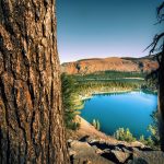 The Best Limo Tours in Switzerland: Alpine Lakes, Mountain Passes & Cities Worth Savouring Slowly